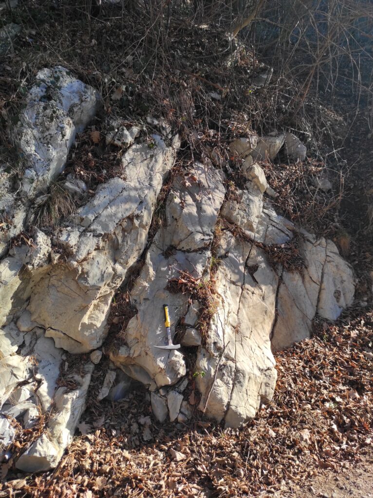 Strati di calcare bianco-azzurrognolo