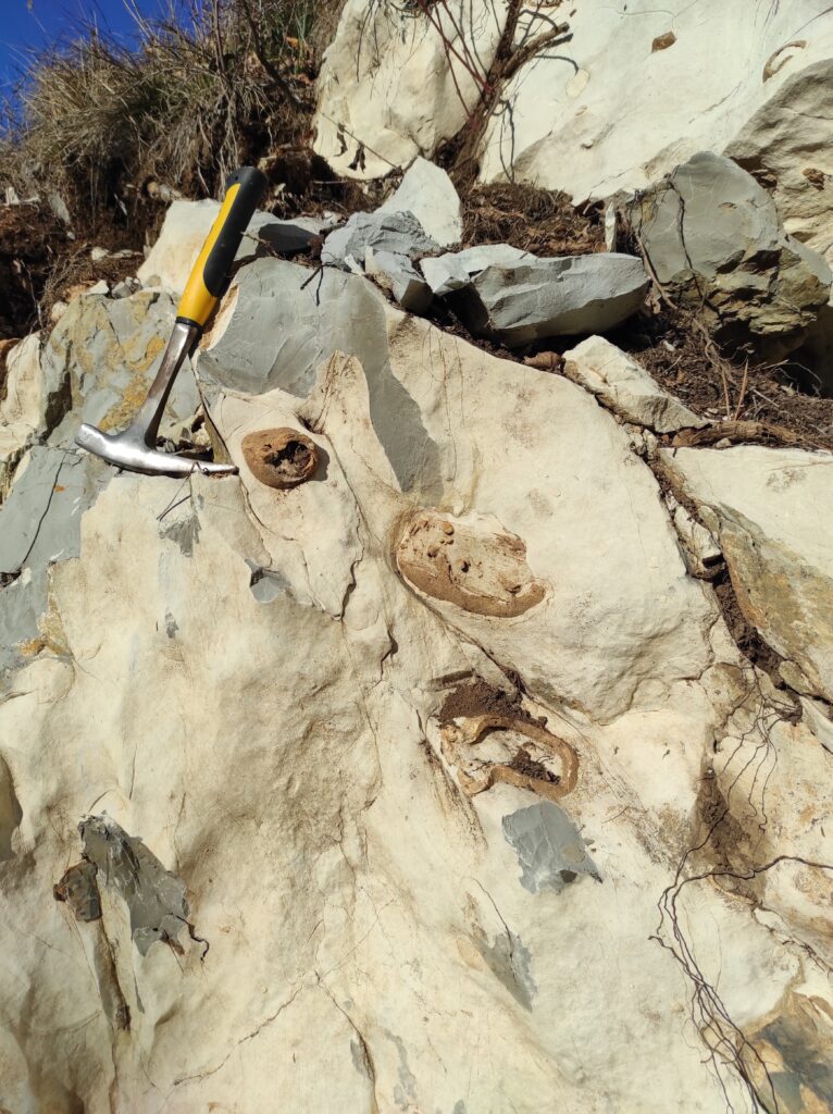 Rocce appartenenti al Sass de la Luna